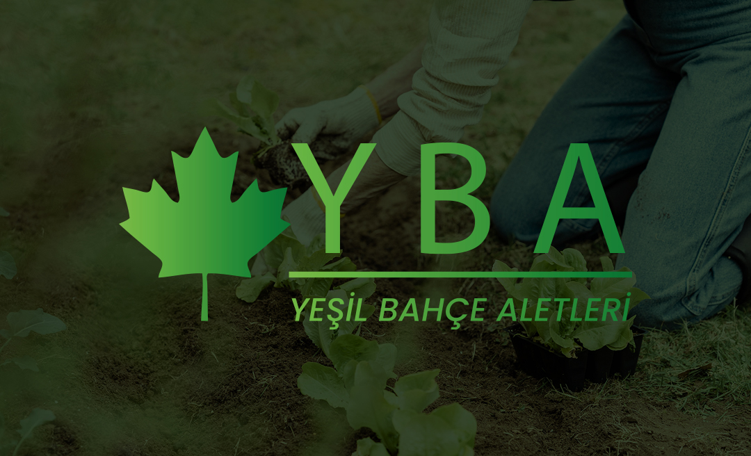 YBA
